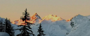Bourg Saint Maurice Les Arcs - maisonnette grand confort dans charmant village de montagne !